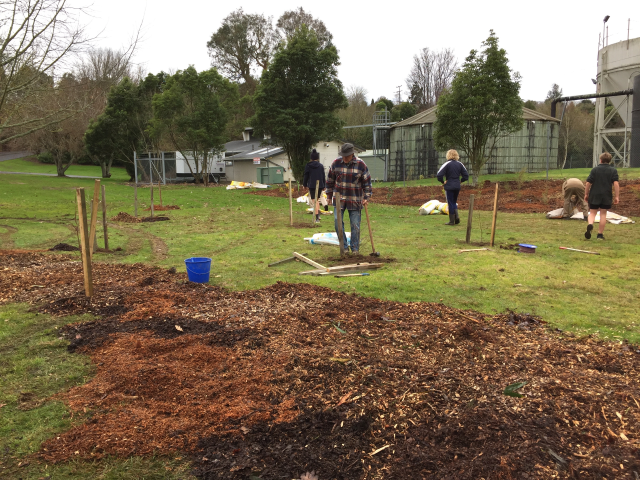 Extending the original 20-year-old planting. Cambridge Tree Trust.